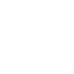 Revlv Solutions Inc.