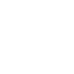 Revlv Solutions Inc.