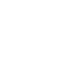 Revlv Solutions Inc.